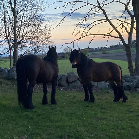 Fin Laegenhet Pa Bjaere Med Naera Till Natur Och Noeje Båstad Esterno foto