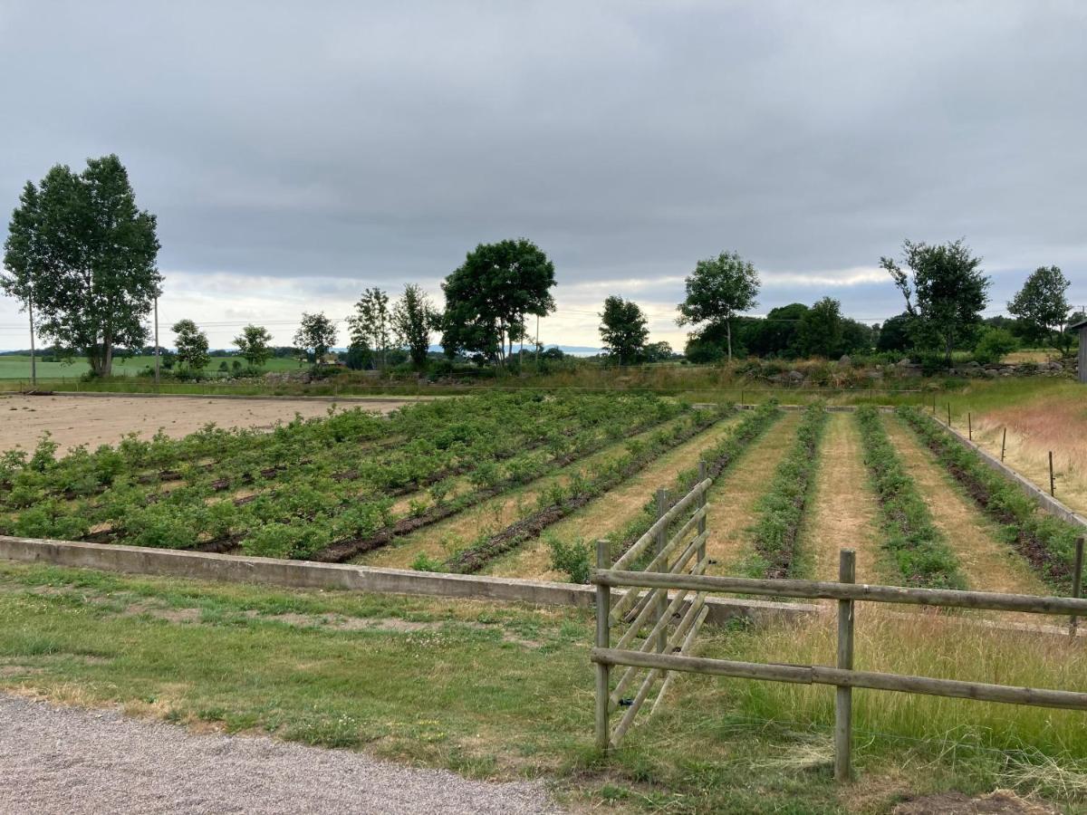 Fin Laegenhet Pa Bjaere Med Naera Till Natur Och Noeje Båstad Esterno foto