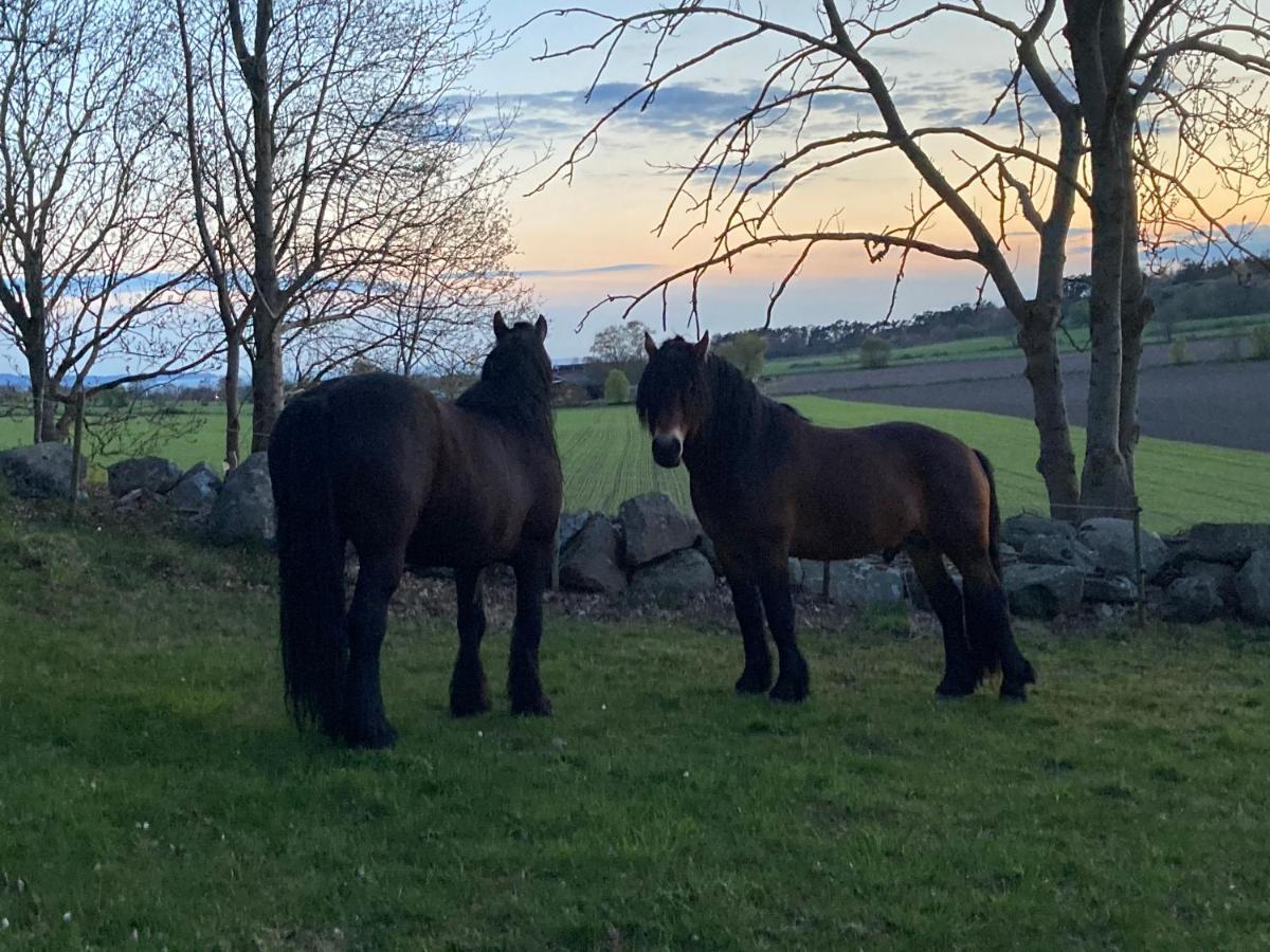 Fin Laegenhet Pa Bjaere Med Naera Till Natur Och Noeje Båstad Esterno foto