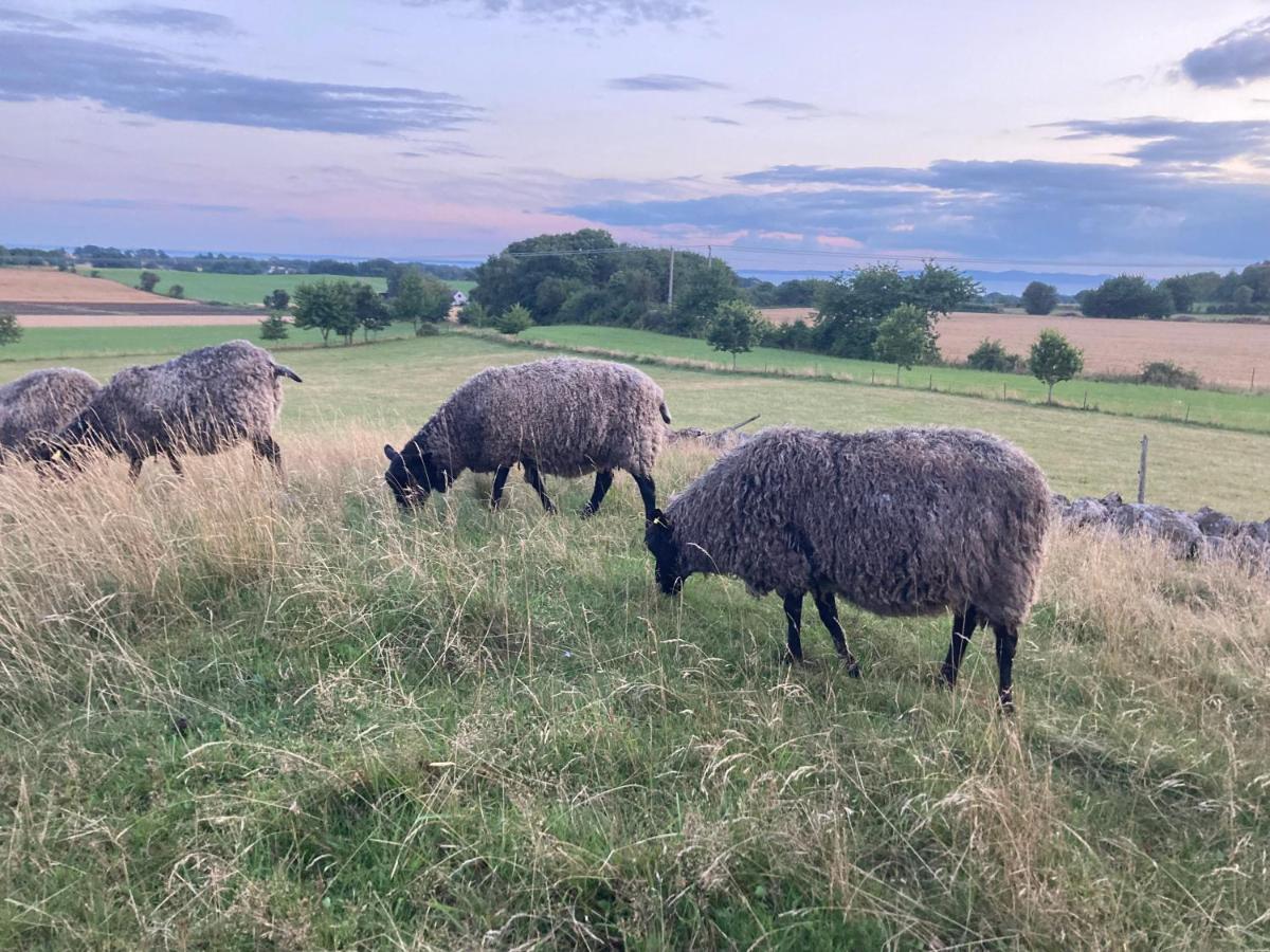 Fin Laegenhet Pa Bjaere Med Naera Till Natur Och Noeje Båstad Esterno foto